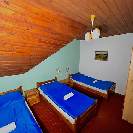 Pensionat Vila Morava 4*